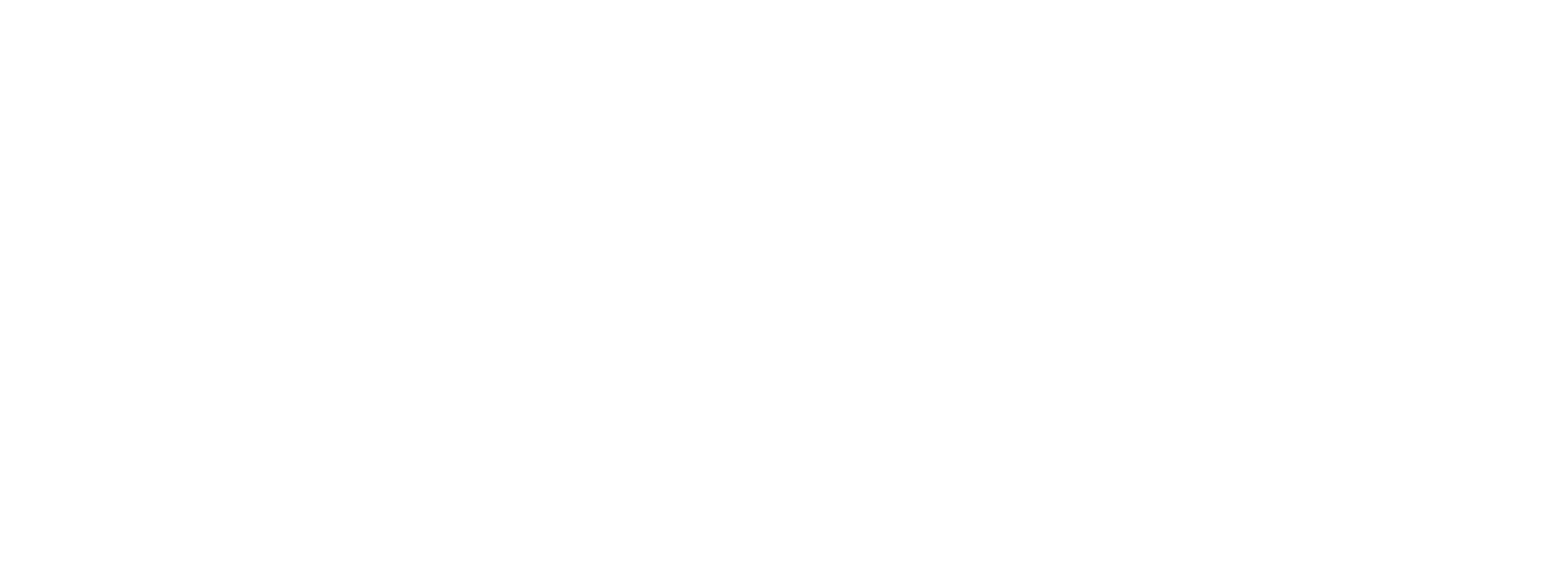 Finance Framework_EN