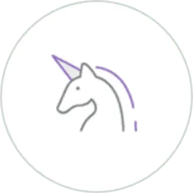 'Unicorn' start-ups