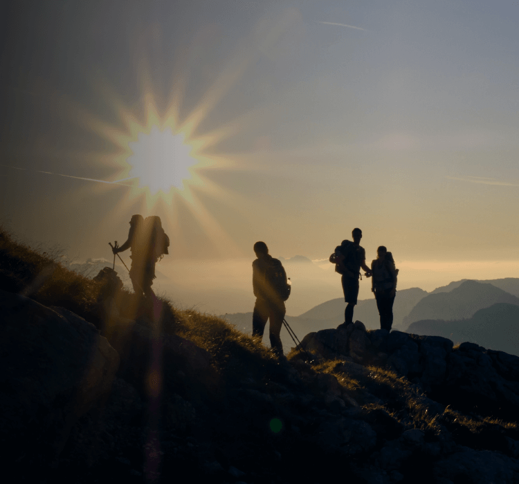 Teaser_Main-page-Sustainability-Progress-m