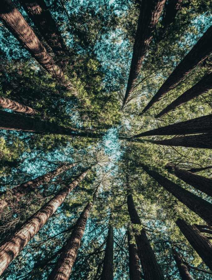 Explore environment for better life cover image